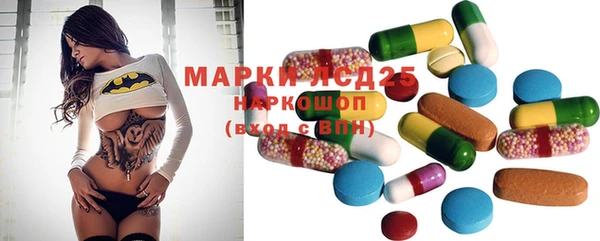 spice Белокуриха