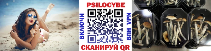 OMG сайт  Энем  Галлюциногенные грибы прущие грибы 